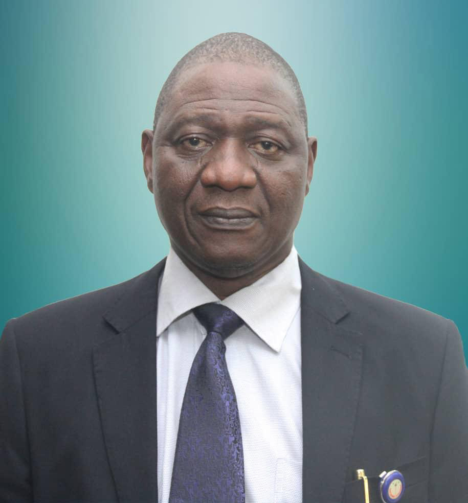 aderemi-adewale-director-democraticstudies